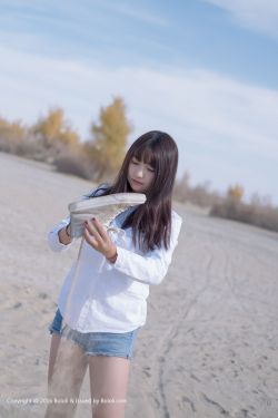 大侠霍元甲83版电视剧
